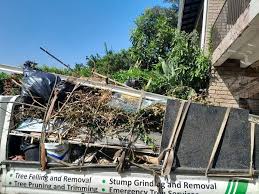 Best Property Management Cleanouts  in Bronson, MI